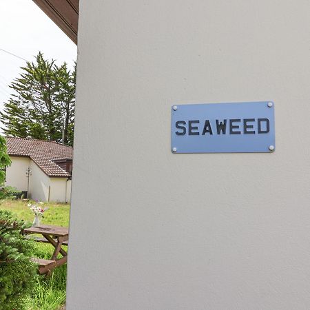 Seaweed Vila Sidmouth Exterior foto