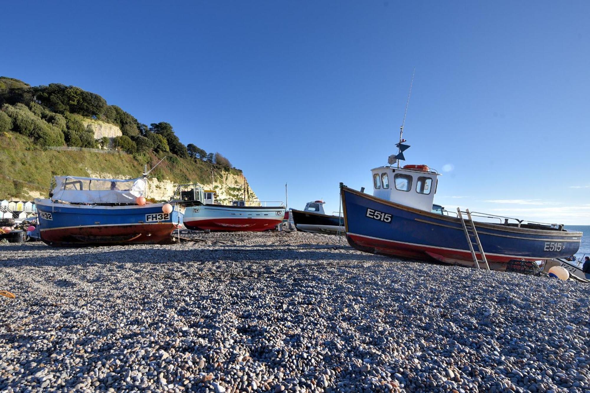 Seaweed Vila Sidmouth Exterior foto