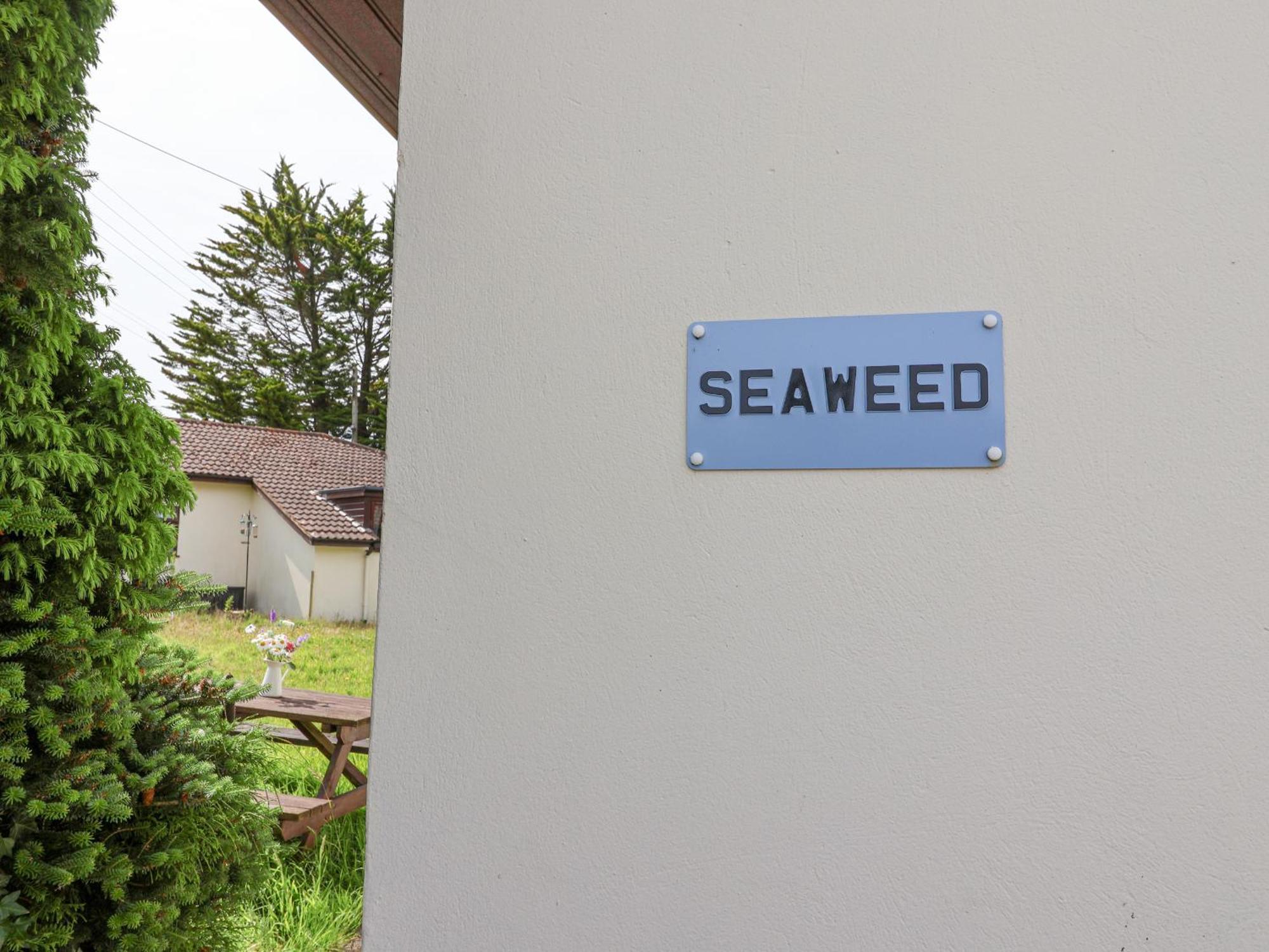 Seaweed Vila Sidmouth Exterior foto